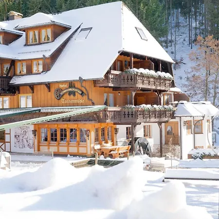 Hotel Tannenmuehle 3*