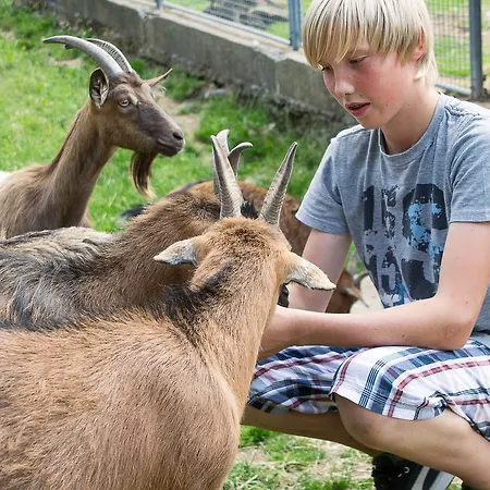 Tannenmuehle 格兰芬豪森