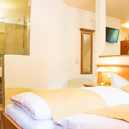 Tannenmuehle 酒店 3*