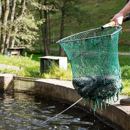 酒店 Tannenmuehle 格兰芬豪森