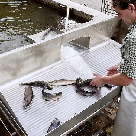 Tannenmuehle 3* 格兰芬豪森