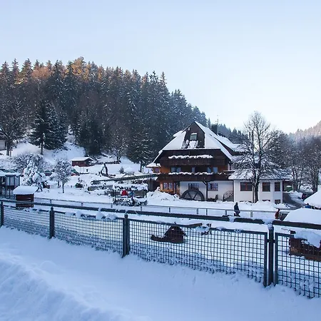 Tannenmuehle Hotel Grafenhausen