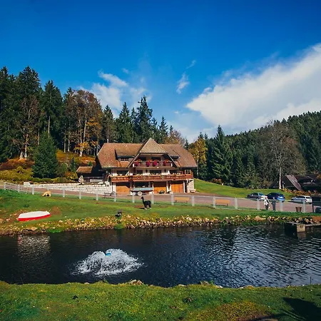 酒店 Tannenmuehle 格兰芬豪森