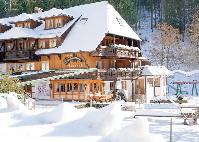 Hotel Tannenmuehle 3*