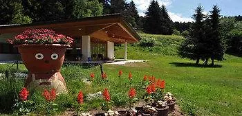 Hotel Tannenmuehle Grafenhausen