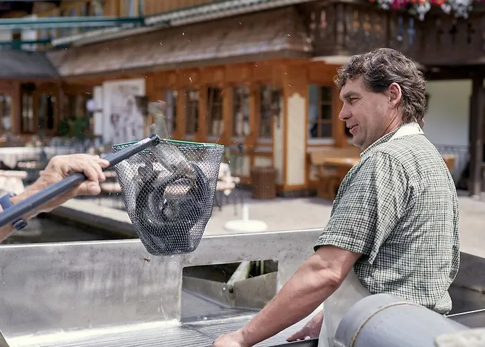 Hotel Tannenmuehle Grafenhausen