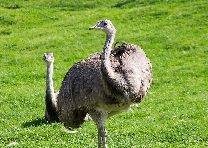 Отель Tannenmuehle