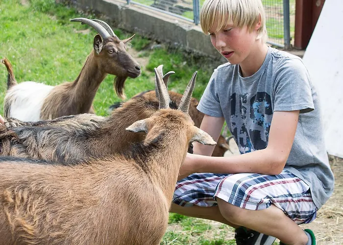 Tannenmuehle Grafenhausen