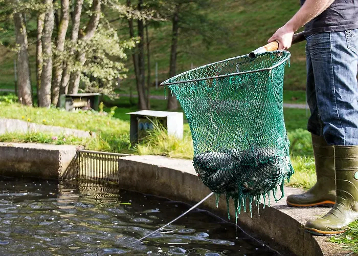 Hotel Tannenmuehle Grafenhausen