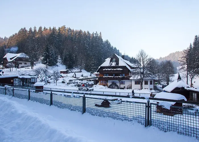 Tannenmuehle Hotel Grafenhausen