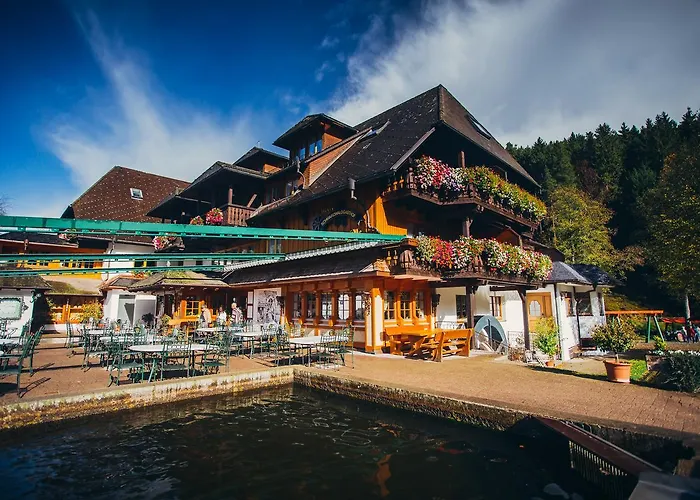 Tannenmuehle Grafenhausen