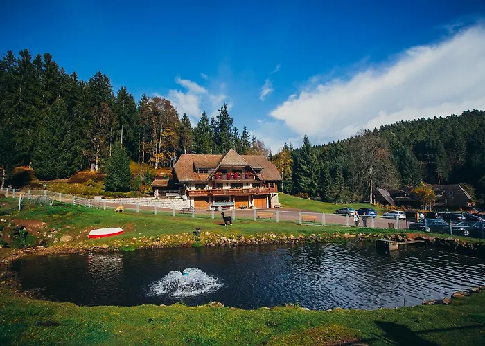 Hotel Tannenmuehle Grafenhausen